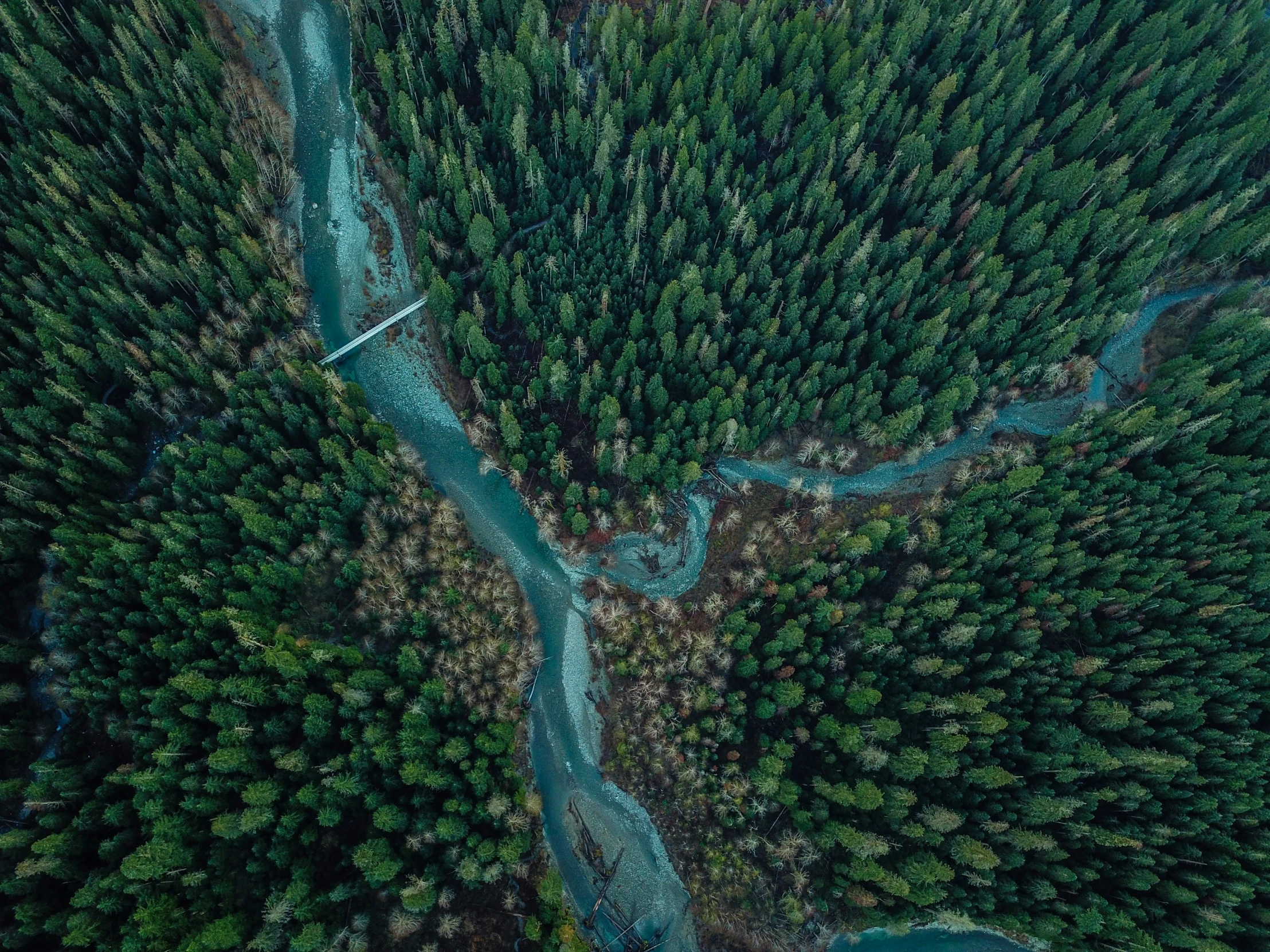 the bird's - eye view of a winding river in the woods