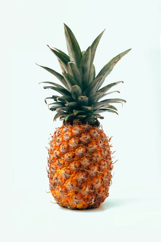 a pineapple is shown against a white background