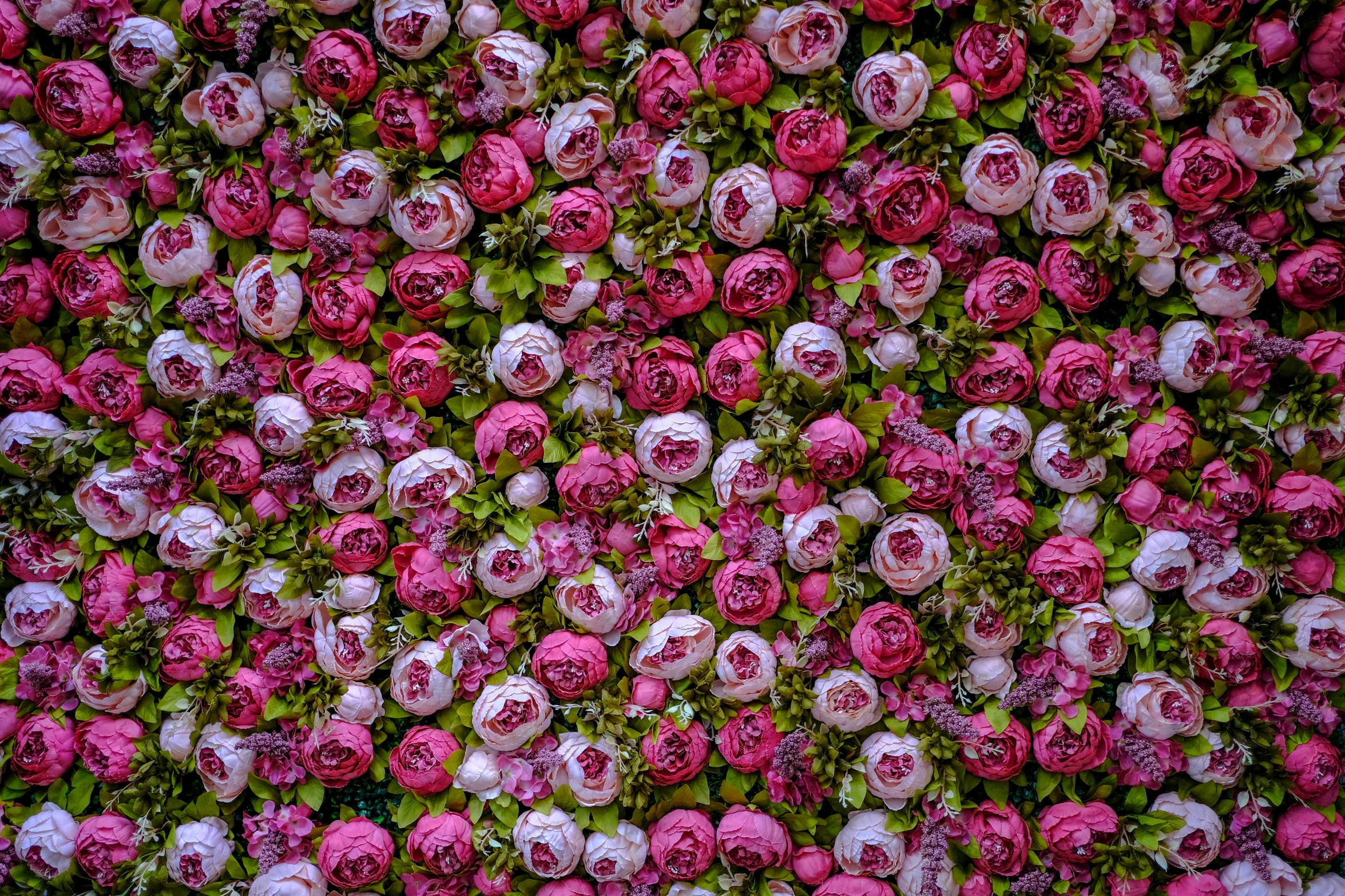 a very colorful flower garden background from above