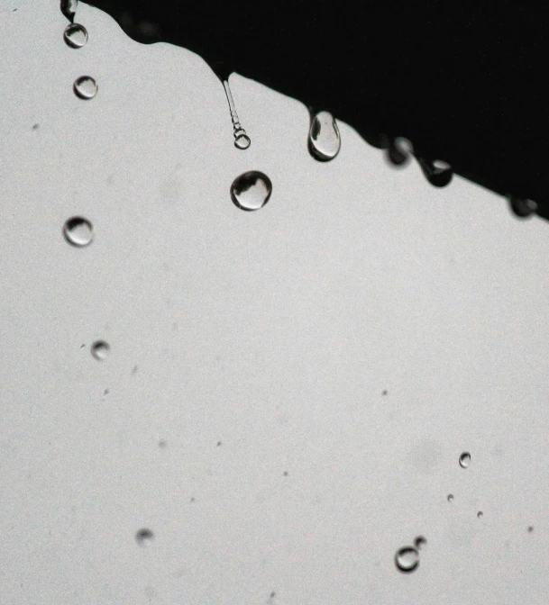 the back end of an umbrella covered in water