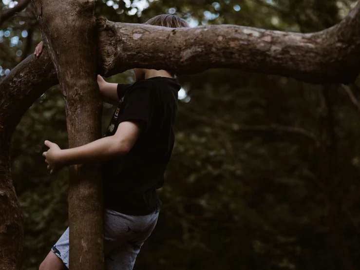 the boy is climbing on the tree limb