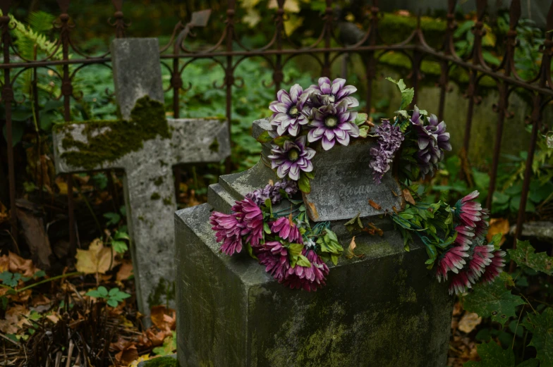 some purple flowers are growing in a stone statue