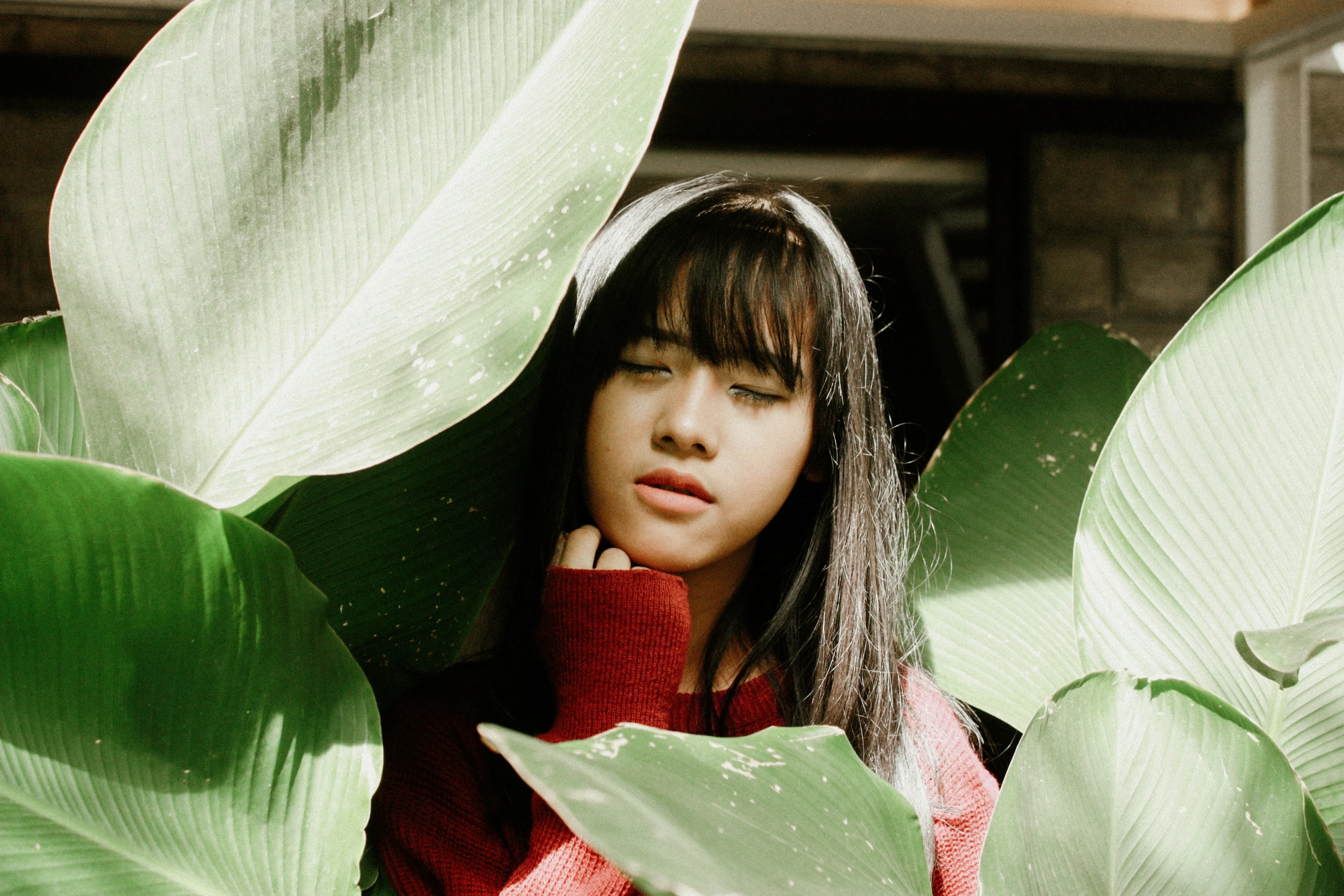 the girl is sitting among the greenery wearing a red sweater