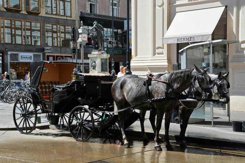 two horses pulling a carriage near a large building