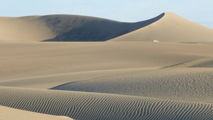 there are many sand dunes in the desert