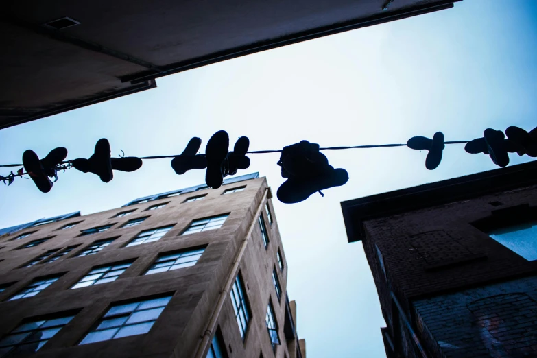 some birds are perched on a power line and building