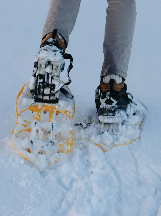a pair of skis is attached to a snowboard