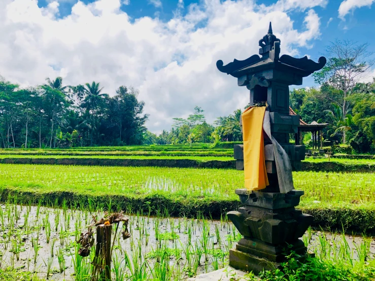 a statue in the middle of a field surrounded by lush grass