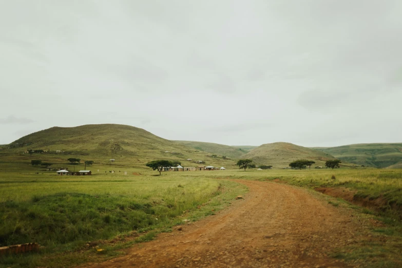 a dirt road in the middle of a lush green field