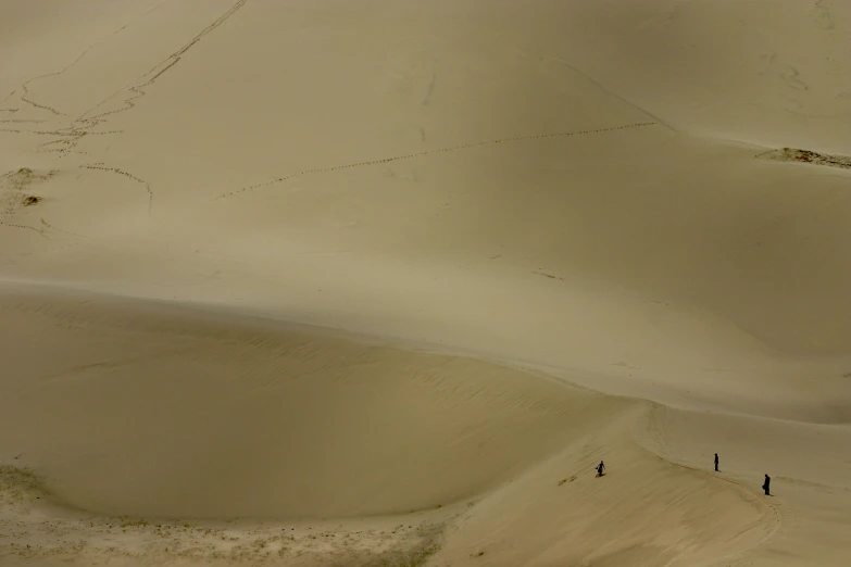 an image of a group of people that are walking in the desert