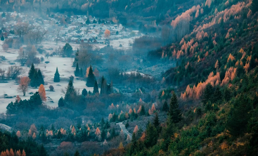 a river runs through a forest that is heavily covered in fog