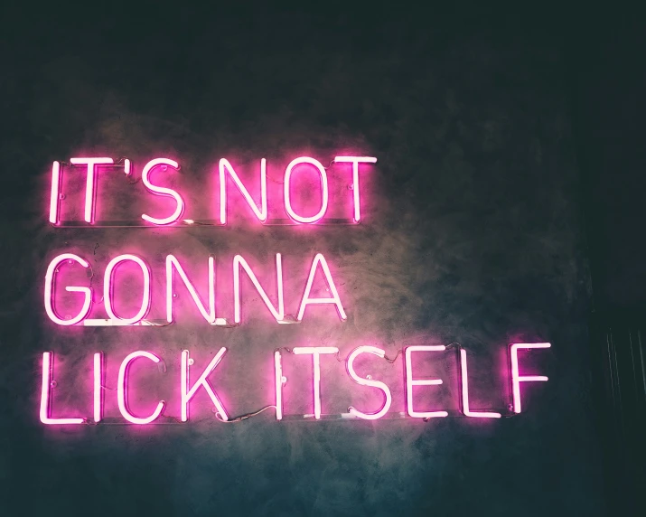 a neon sign that says it's not going to lick itself