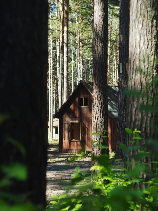 a cabin sitting next to some tall trees in the woods