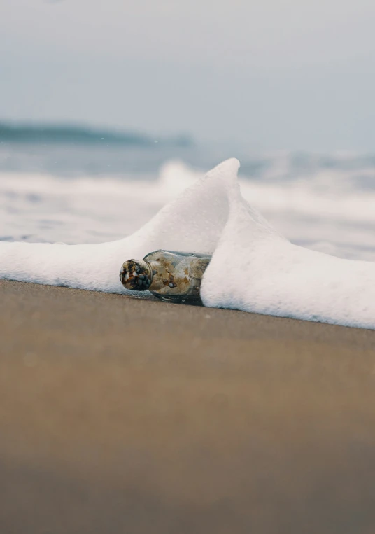 an ice - covered bottle is laying on the beach