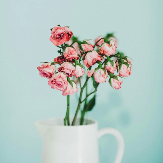 white vase filled with pink roses against a light green background