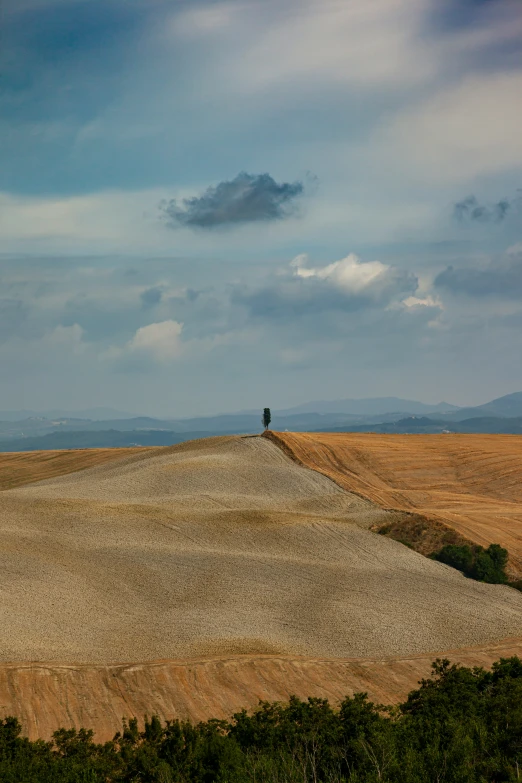 a lone horse stands on the top of a hill