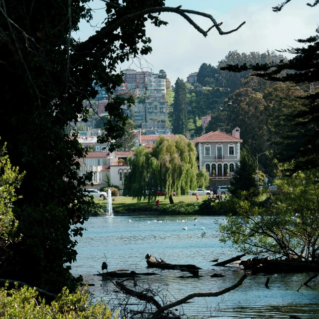 the houses and trees are in front of a lake