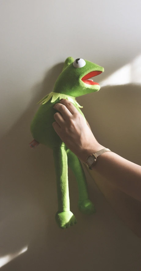 a hand holding a stuffed frog with white walls