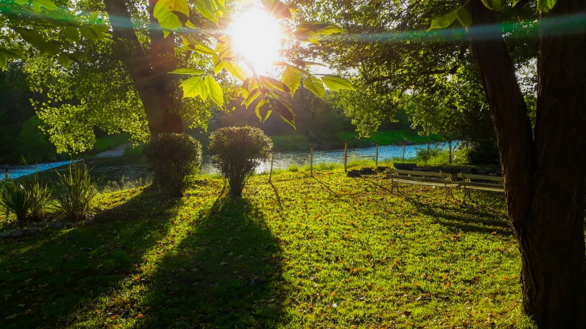 the sun rises through trees as people walk along a path in a park