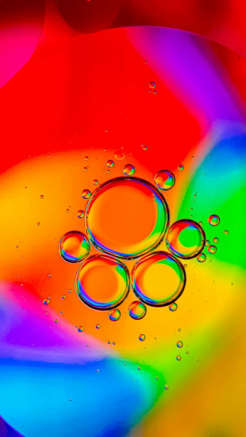 an image of colorful rainbow liquid circles in water