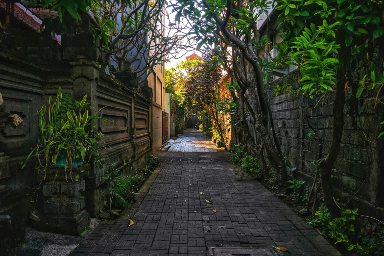 a narrow alley between old wooden buildings, surrounded by green plants