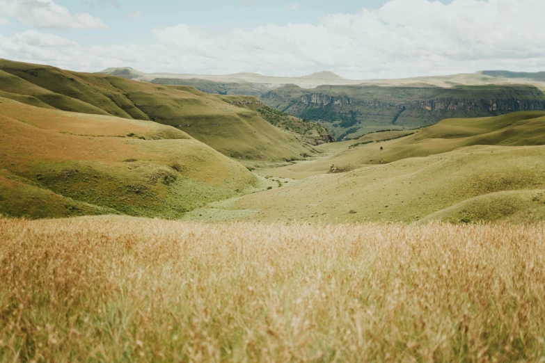 a large grassy field with mountains and people in the distance