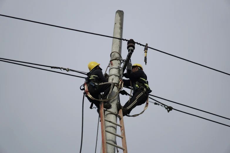 two electrical engineers working on the power lines