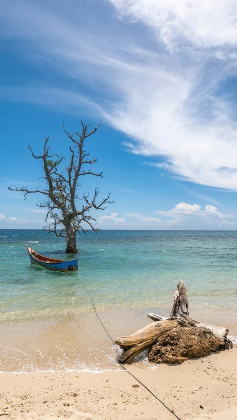 the lone boat is floating in the water near a dead tree