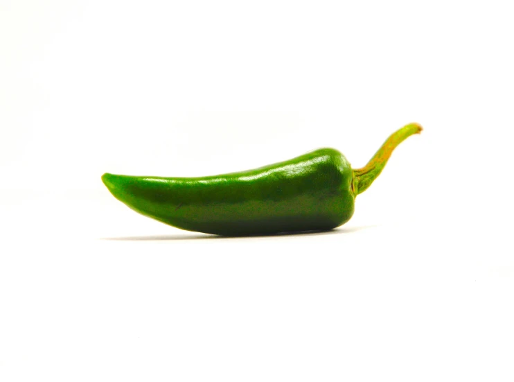 a single green pepper is on a white surface