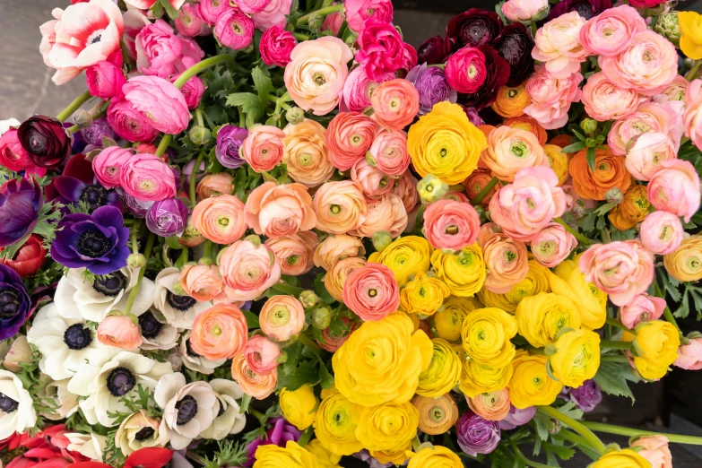 a pile of flowers that are all different colors