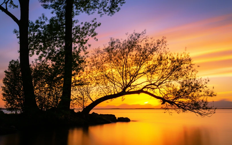 the setting sun and a tree reflected in water