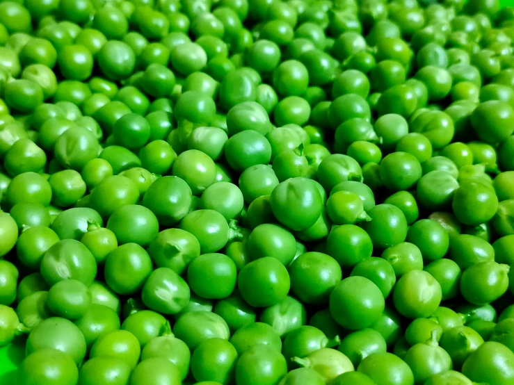 a green surface covered in a bunch of tiny balls