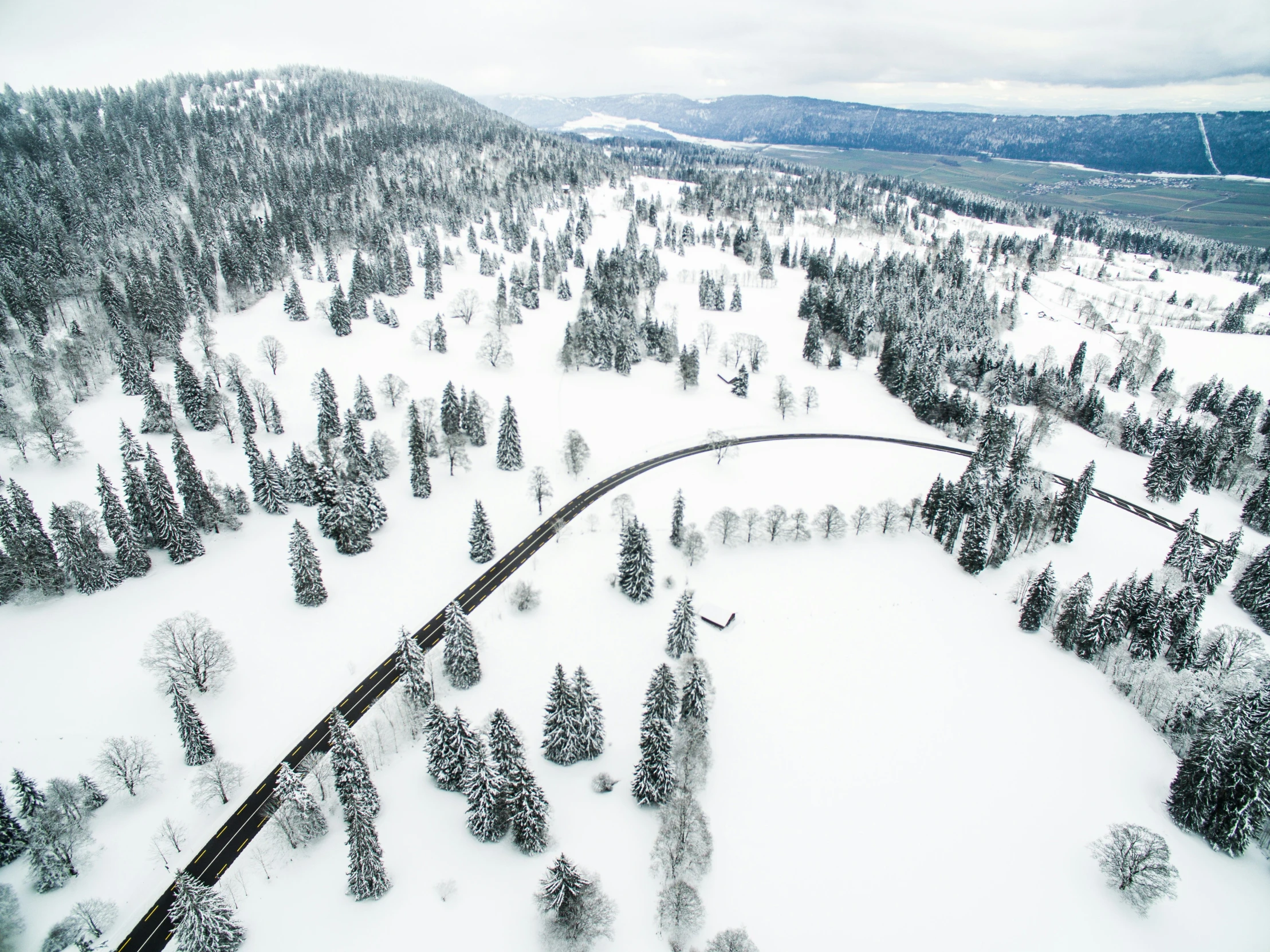 an aerial view of snowy forest with lots of trees