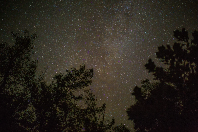night sky full of stars and trees in the foreground