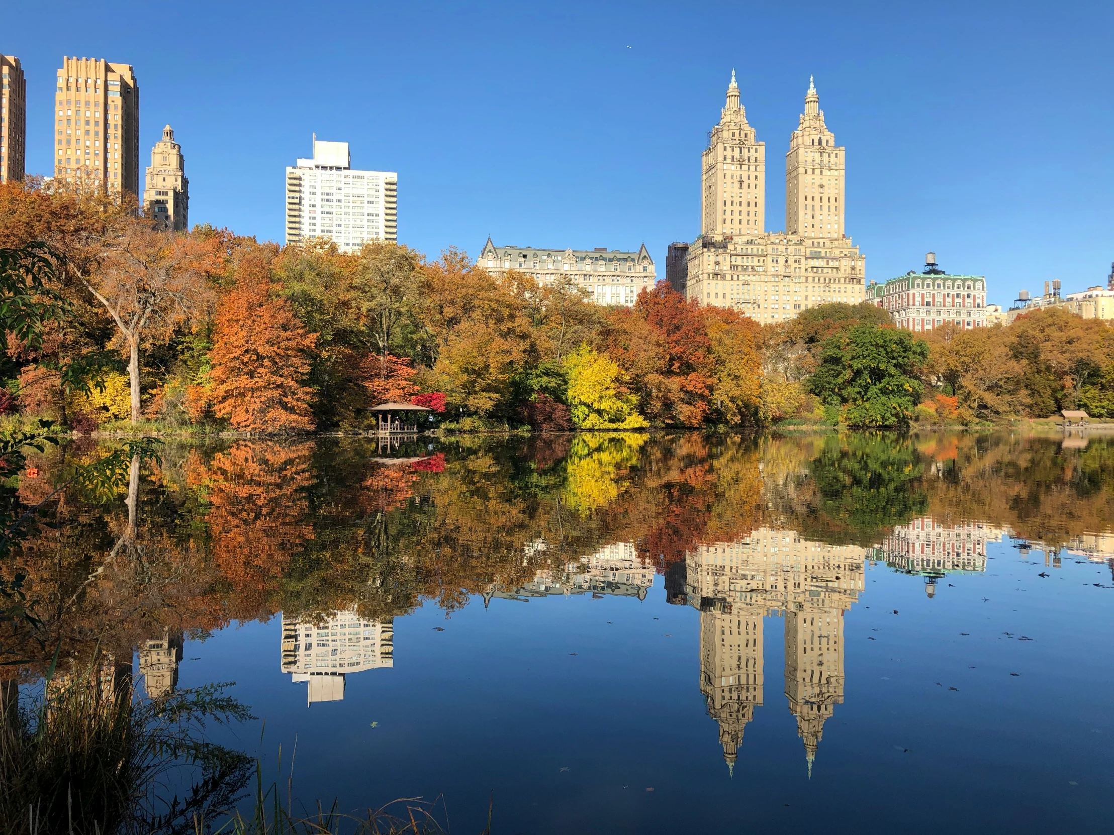 the fall foliage in central park reflect on a body of water