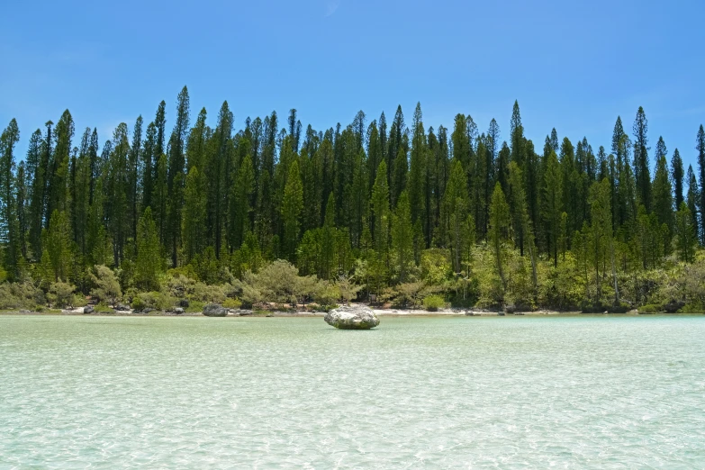 the water is green and has a boat floating on it