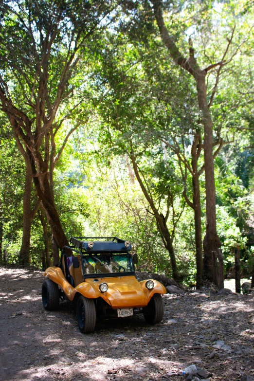 two people and an orange four - wheeled vehicle in the woods