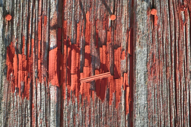 red wall with tree trunks against it