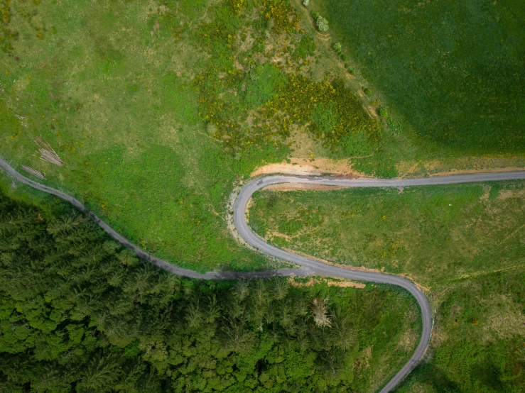 an aerial po of a winding road and trees