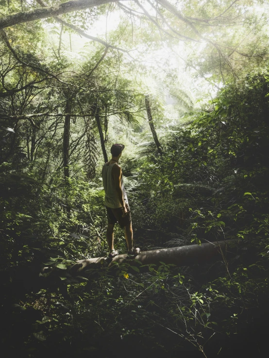 man standing on log in heavily forested area