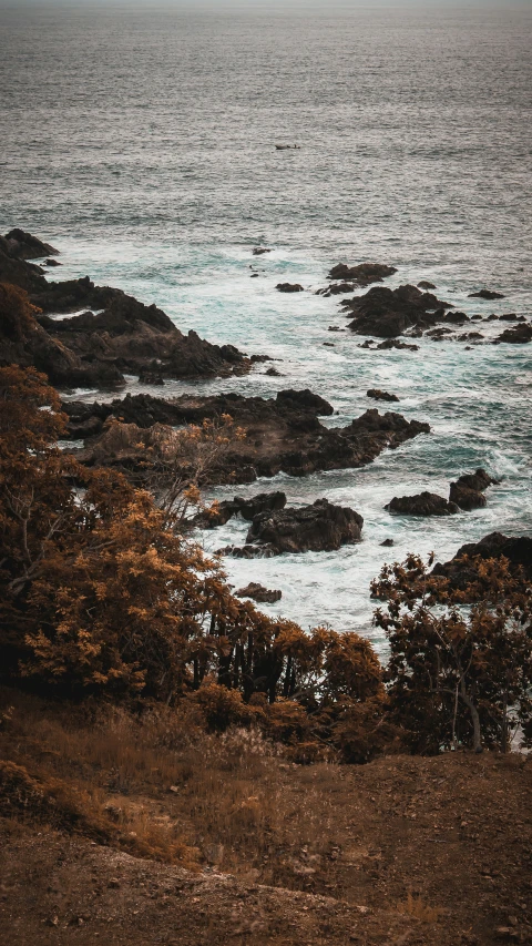 a boat is docked by the shoreline of the ocean