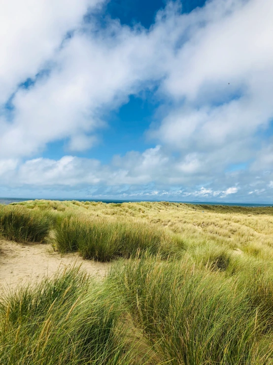 there is an empty patch of dirt on the beach