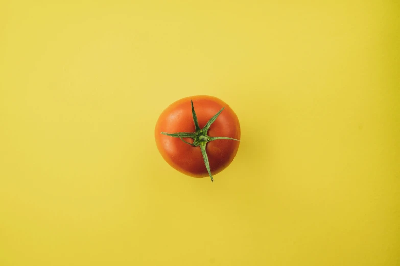 tomato against a yellow background and the stem is shaped like a star