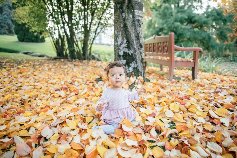 small girl sitting on autumn leaves in park