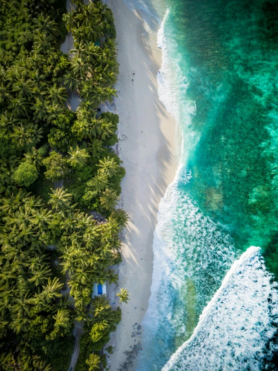 an aerial view of some people at the beach