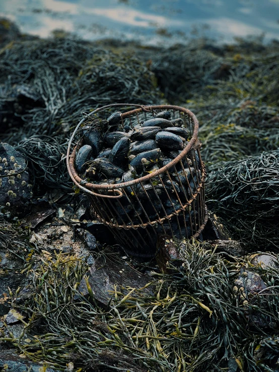 a basket filled with black balls sitting in a grassy field