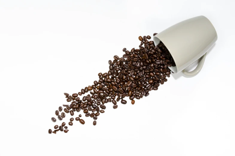 a coffee grinder is full of coffee beans