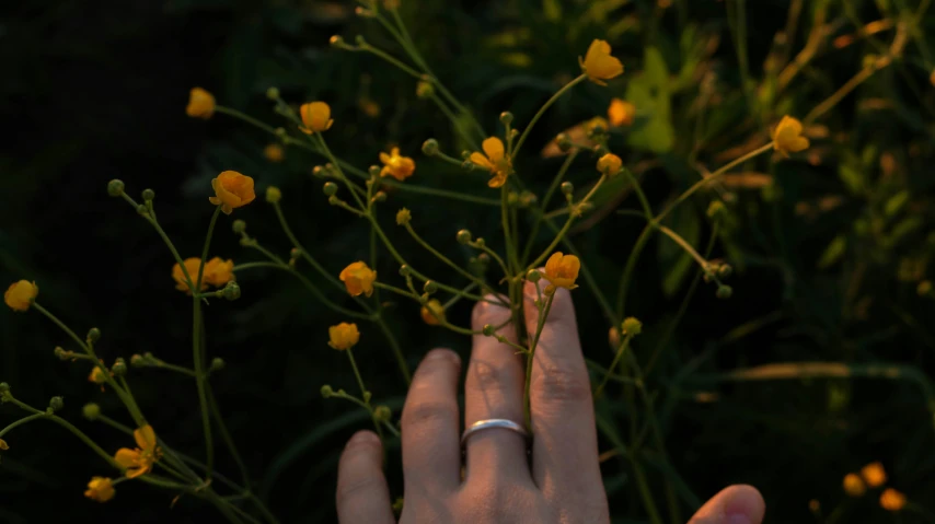 the hand is touching the flowers with it's fingers