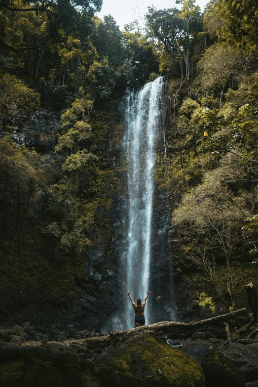 a person on a log by a waterfall