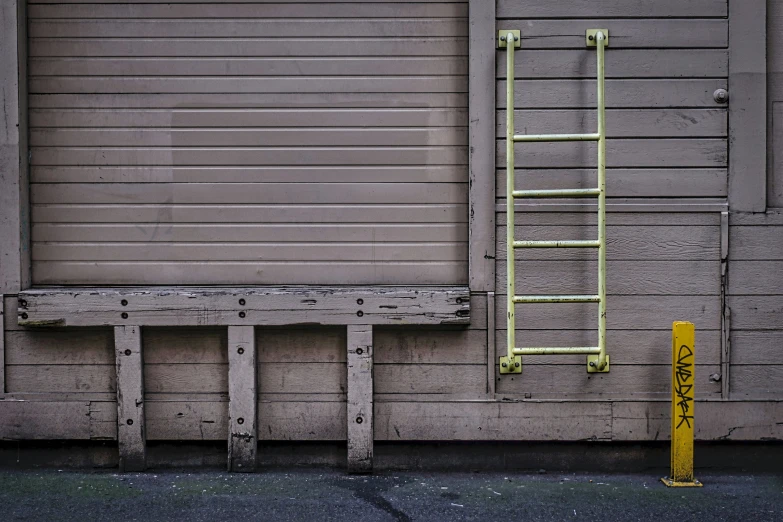 a fire hydrant next to a tall wooden ladder
